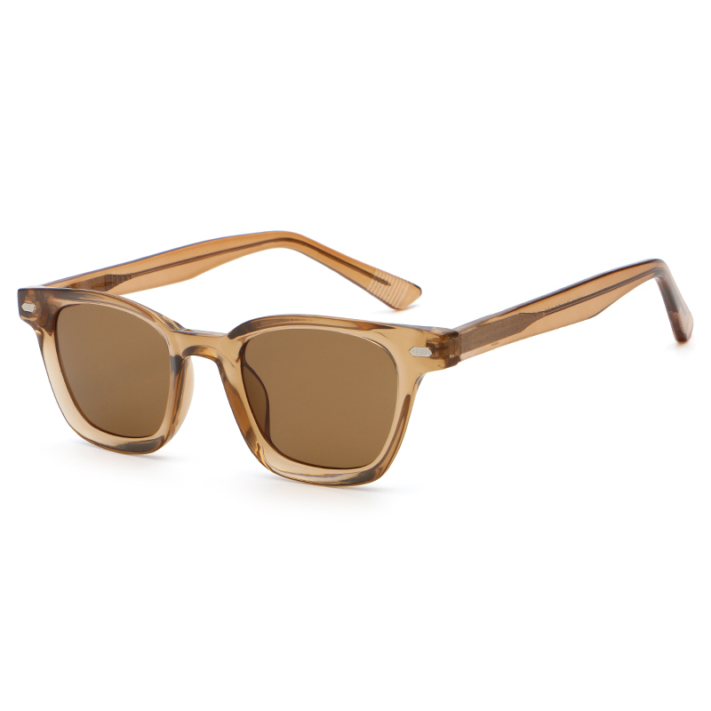 6210 Wayfarer Style PC Frame CP Templos de gafas de sol unisex