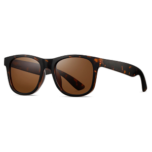16101 Colores mate unisex Wayfarer Gafas de sol de plástico