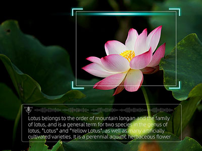 Reconocimiento automático de la imagen