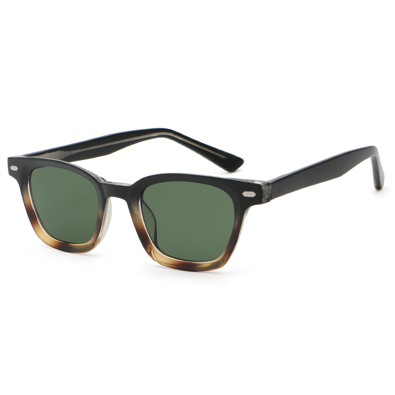 6210 Wayfarer Style PC Frame CP Templos de gafas de sol unisex